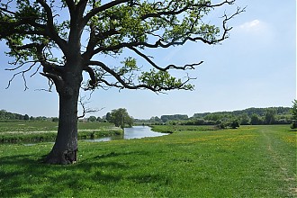 holt-courts_garden_01.jpg