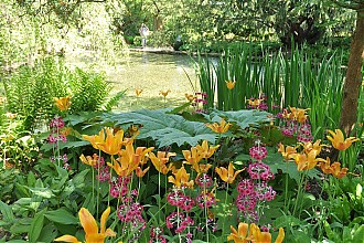 holt-courts_garden_06.jpg