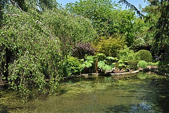 holt-courts_garden_07.jpg