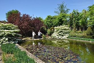 holt-courts_garden_11.jpg