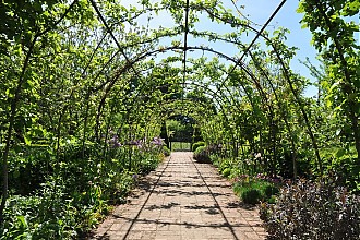 holt-courts_garden_13.jpg