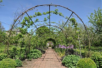 holt-courts_garden_14.jpg