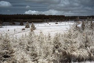 D70IR_DSC_4575.jpg