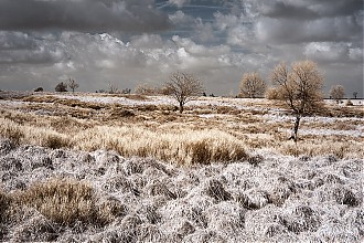 D70IR_DSC_4601-2.jpg