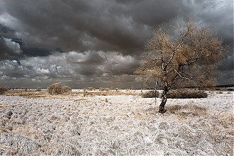 D70IR_DSC_4607.jpg