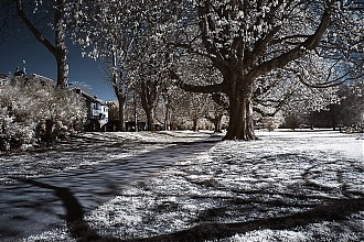 D70IR_DSC_4666.jpg