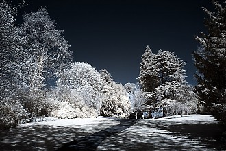 D70IR_DSC_4680.jpg