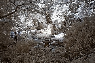 D70IR_DSC_5418.jpg