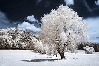 D70IR-DSC_5993-2.jpg