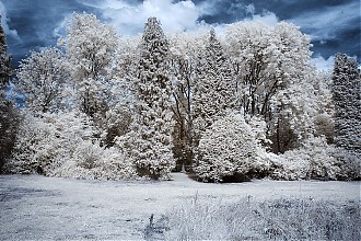 D70IR-DSC_6029.jpg