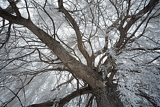 D70IR-DSC_6076.jpg