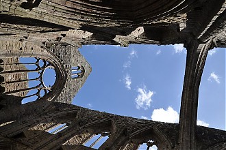 trintern_abbey_06.JPG