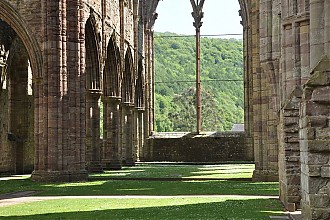 trintern_abbey_09.JPG