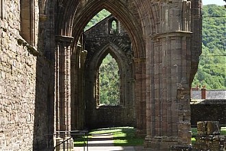 trintern_abbey_11.JPG