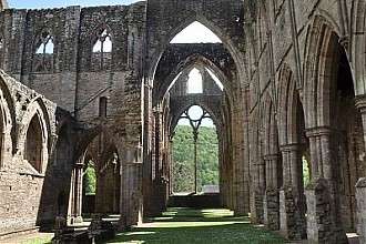 trintern_abbey_12.JPG