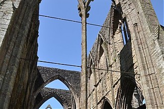 trintern_abbey_19.JPG