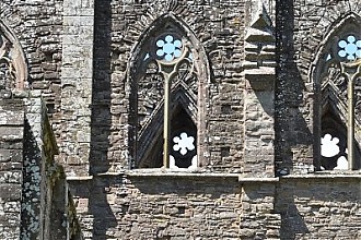 trintern_abbey_23.JPG