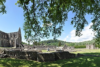 trintern_abbey_26.jpg