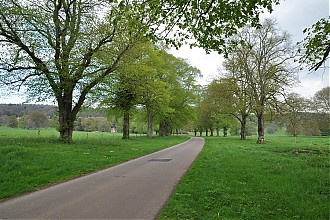 tyntesfield_02.JPG